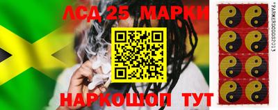 мяу мяу мука Новокубанск