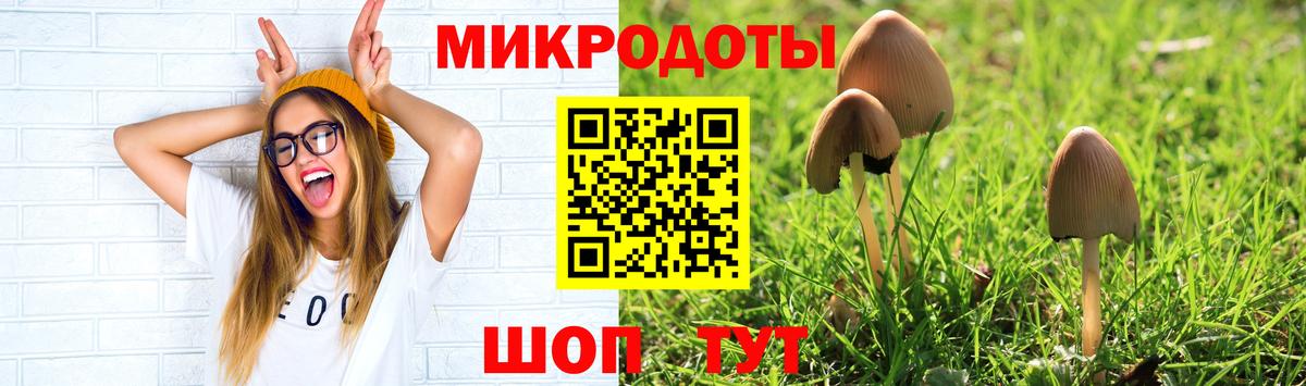 Галлюциногенные грибы GOLDEN TEACHER  Вход с VPN  Алексеевка 