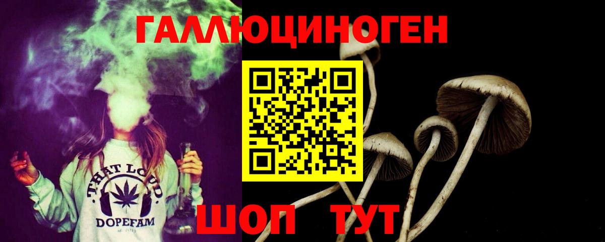 Галлюциногенные грибы Psilocybine cubensis Алексеевка